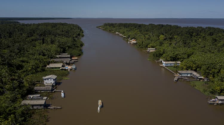 Paradoxo Amazonico Foto tarso Sarraf (4).jpg