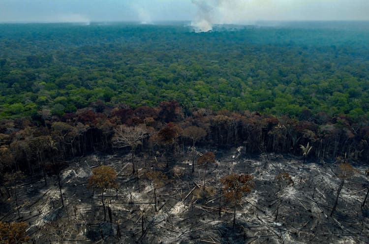 desmatamento - MICHAEL DANTAS  AFP (1).jpg