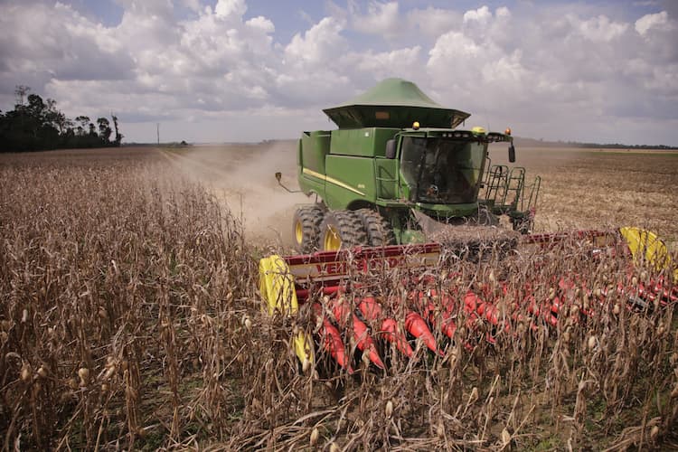 produção agrícola1 - Tarso Sarraf.jpg